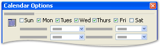 Calendar work week options screenshot