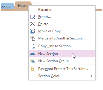 Add a new section in OneNote.
