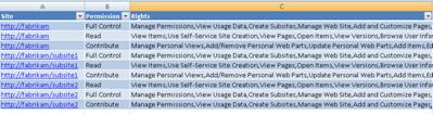 Rights.xml report when opened in Excel