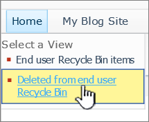 SharePoint 2010 2nd level recycle link