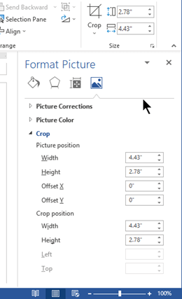 The Format Picture pane, docked on the right side of the window in Word