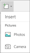 Select Insert > Photos