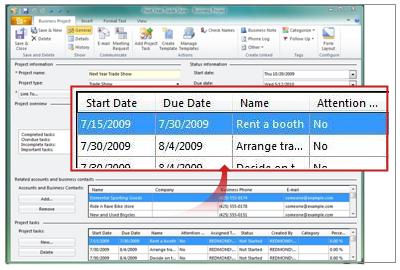 Business Project Record showing Project Tasks