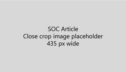 Placeholder - art sized for a close crop screenshot - 435 pixel width