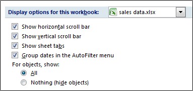 Show sheet tabs check box in Excel Options dialog box