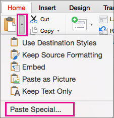 Paste Special on the Paste menu