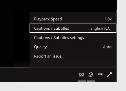 Captions settings menu