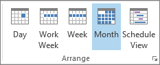 Arrange group on the Home tab: day, week, work week, month, and schedule