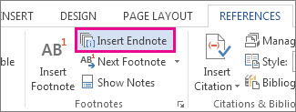 how to endnote in word 2013