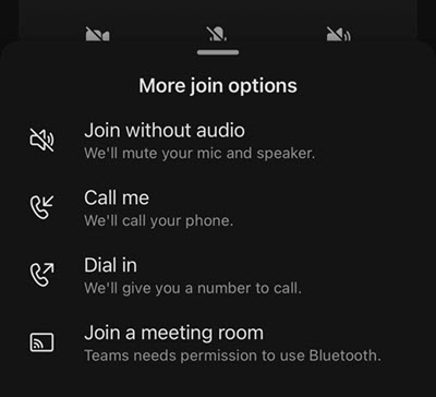 Select an audio source from the mobile meeting pre-join screen.