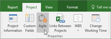 Screenshot of the Agile button on the Project ribbon, Project tab, Properties section