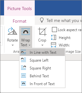 Wrap Text Around A Picture In Word - Microsoft Support