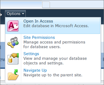 The Options menu of a web database site on SharePoint