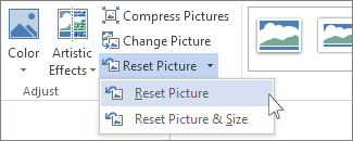 Reset Picture command