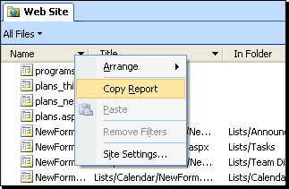 Name column menu with Copy Report command selected