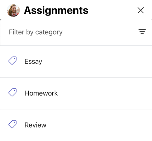 Screenshot of assignment categories in mobile Teams.