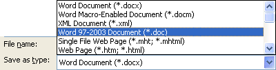 Saving file as type