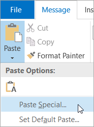 Choosing Paste Special on the Paste menu