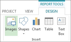 Report Tools Design tab