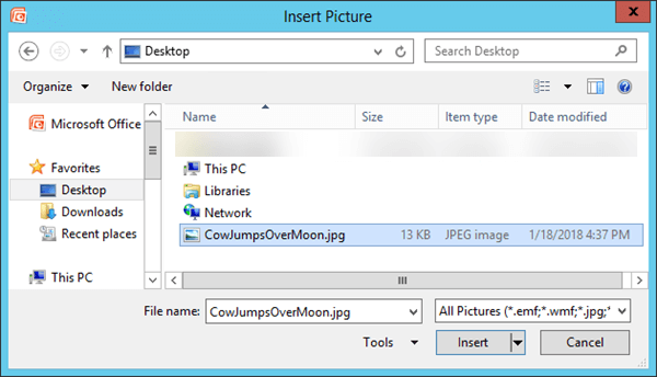 The Insert Picture dialog box