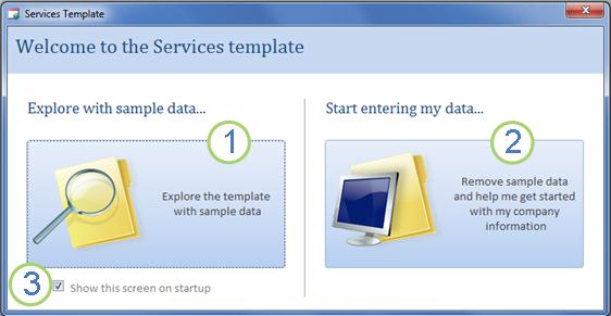Startup form of the Services Web Database template