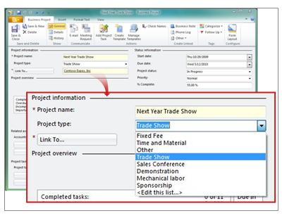 Business Project record showing list of project types