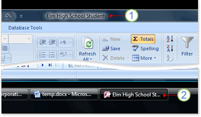 The Title Bar and the Taskbar Button for a database
