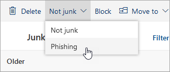 A screenshot of the Not junk menu with the option for Phishing selected