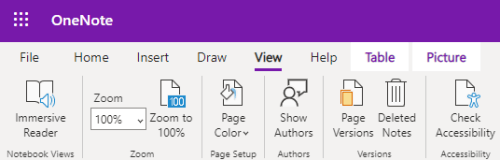 The Zoom controls in the OneNote for the web app.
