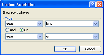 Custom AutoFilter dialog box