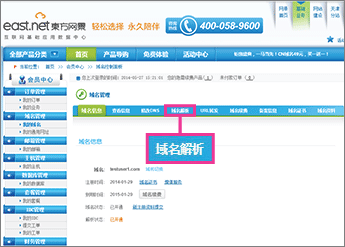 Click "域名解析" (domain name resolution)