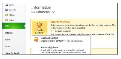 delete security warning on starting access runtime 2010