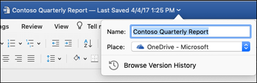 The file operations dialog box launched by clicking the title bar of a Word document.