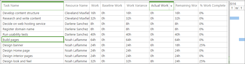 The Assignments Work view shows all assignments by resource.