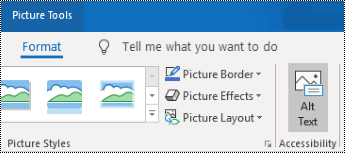 Alt Text button on the Outlook for Windows ribbon.