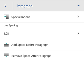 Paragraph command, with formatting options