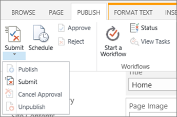 Submit, publish buttons on the Publish tab in Edit mode.