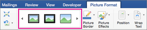 On the Picture Format tab, the picture border gallery is highlighted.