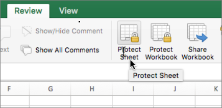 Protect Sheet option on the ribbon