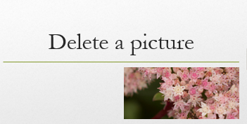 The picture you selected is deleted.
