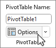 PivotTable Options button