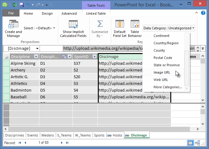Set the Data Category in Power Pivot