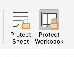 Protect Workbook Highlighted in MacOS