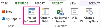 Project Information button on the Project tab