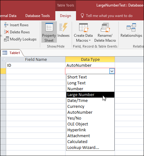 Screenshot of data types list in an Access table. Large Number is selected.