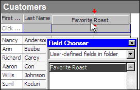 dragging a custom field from field chooser into a contacts folder view