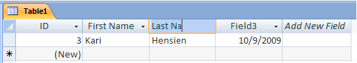 typing new field name in access table