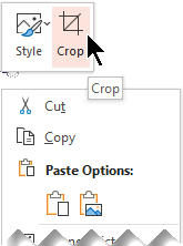 The Crop button appears above or below the pop-up menu