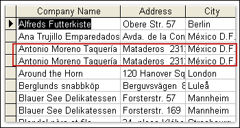 A query based on the Customers table, where two records have matching values in all fields