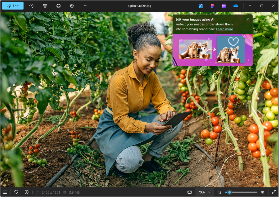 Screenshot of Microsoft Photos with the Edit with Designer option.